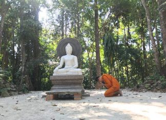 พระครูสมุห์สุพัฒน์ อนาลโย ที่สวนโมกขพลาราม